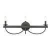 Williamson 24'' Wide 3-Light Vanity Light - Black