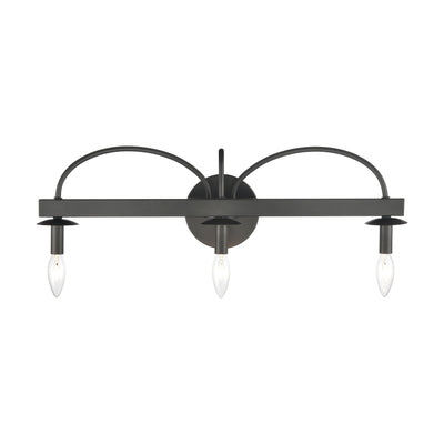 Williamson 24'' Wide 3-Light Vanity Light - Black