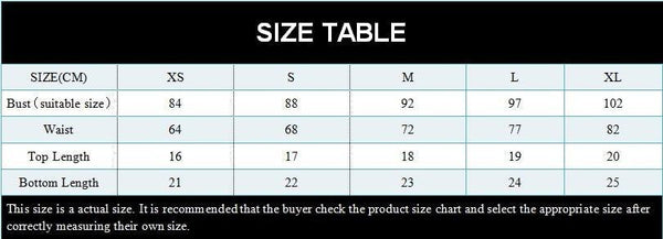 Zebra Print Push Up Bikini New Arrival Padded Bra Low Waist Swimsuit Female Swimwear Women Women's Ruffle Triangle Bikini Frill Printed String Tie Side Two Piece Set Swimsuit