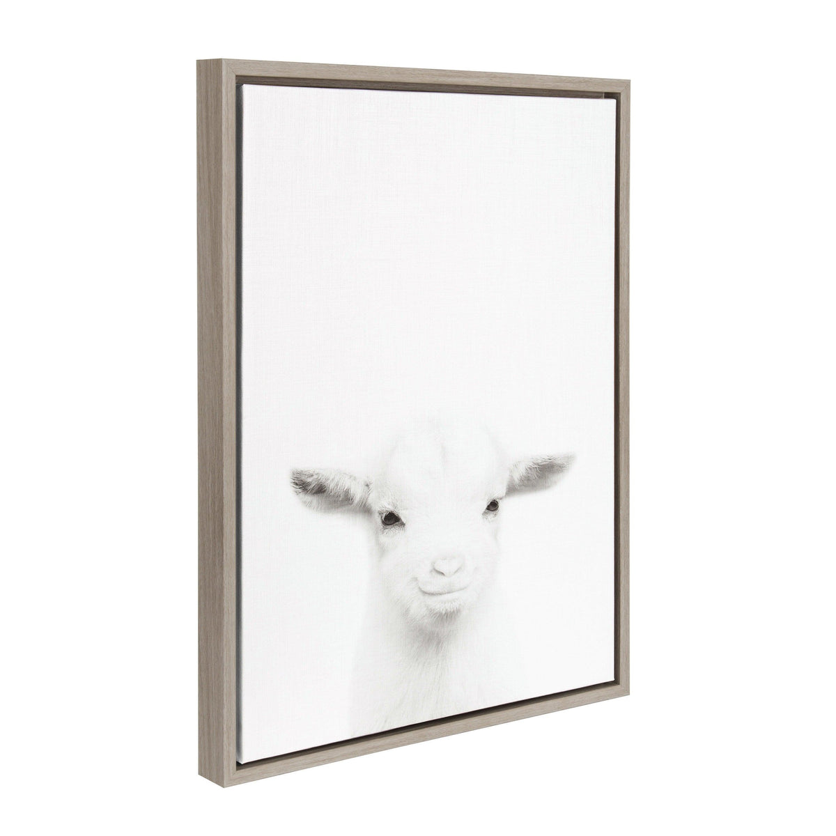 Sylvie Baby Goat Framed Canvas by Simon Te Tai