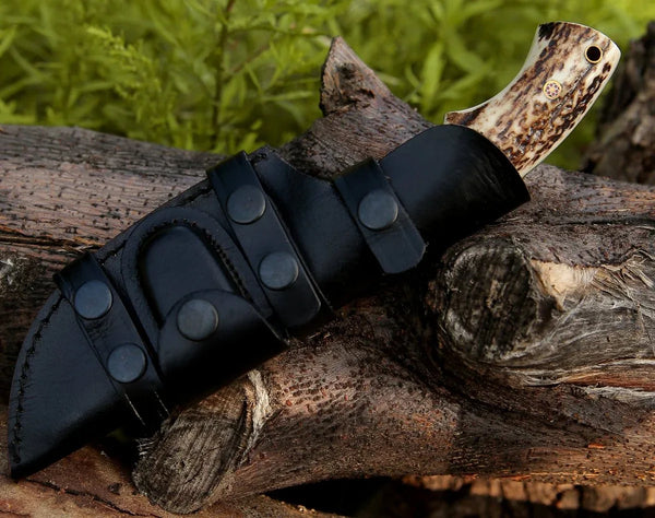 Zues Tracker Knife with Antler & Rose wood Handle - Gifts for You 'n Me
