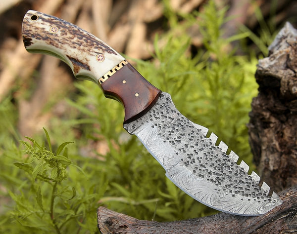 Zues Tracker Knife with Antler & Rose wood Handle