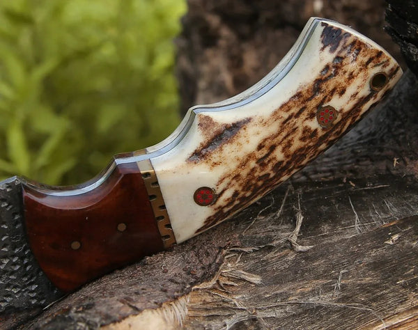 Zues Tracker Knife with Antler & Rose wood Handle - Gifts for You 'n Me