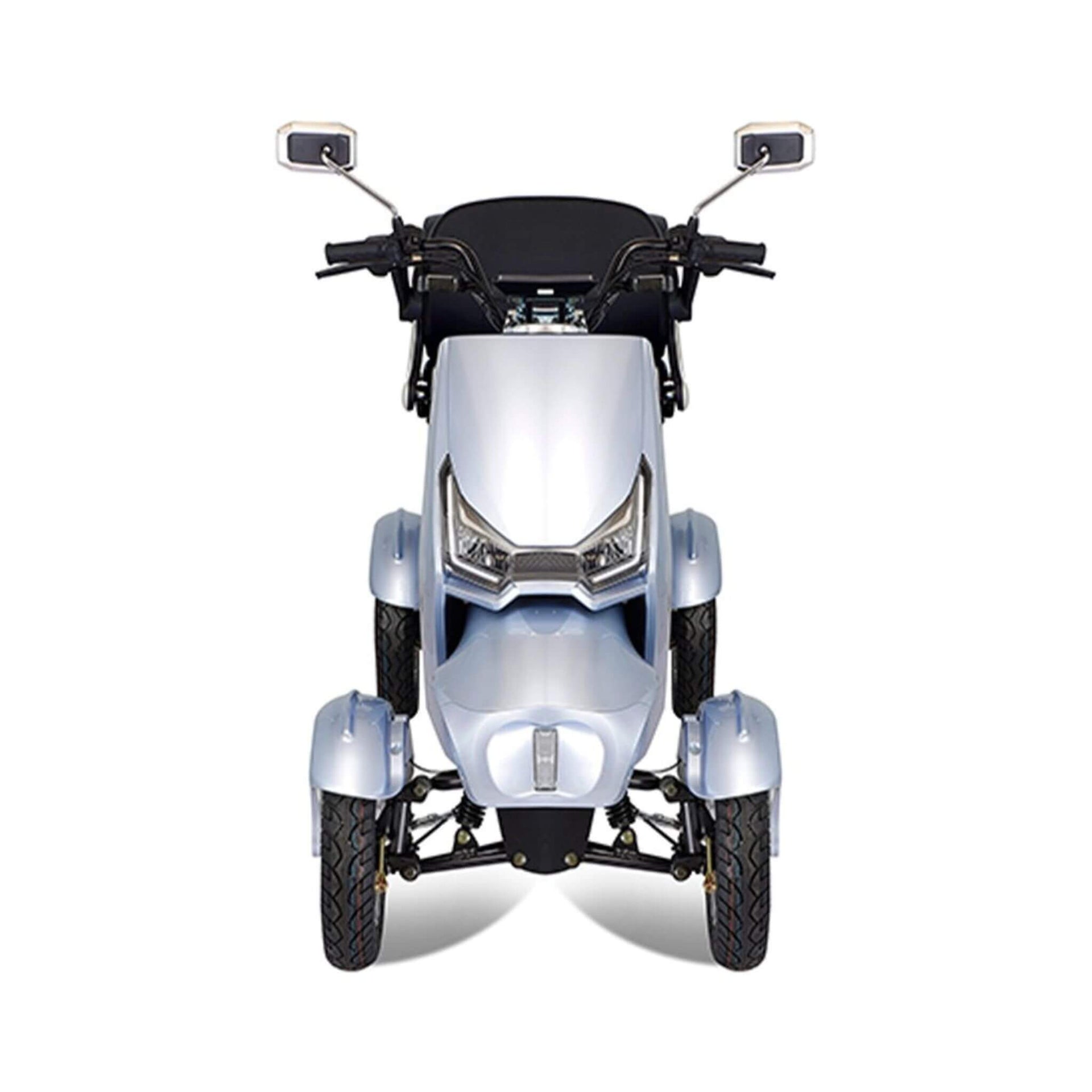 Zvg Heavy-Duty 1000W 60V/20AH 330LBS Four-Wheel All-Terrain Travel Mobility Scooter [SN-4L] (SAK97245)