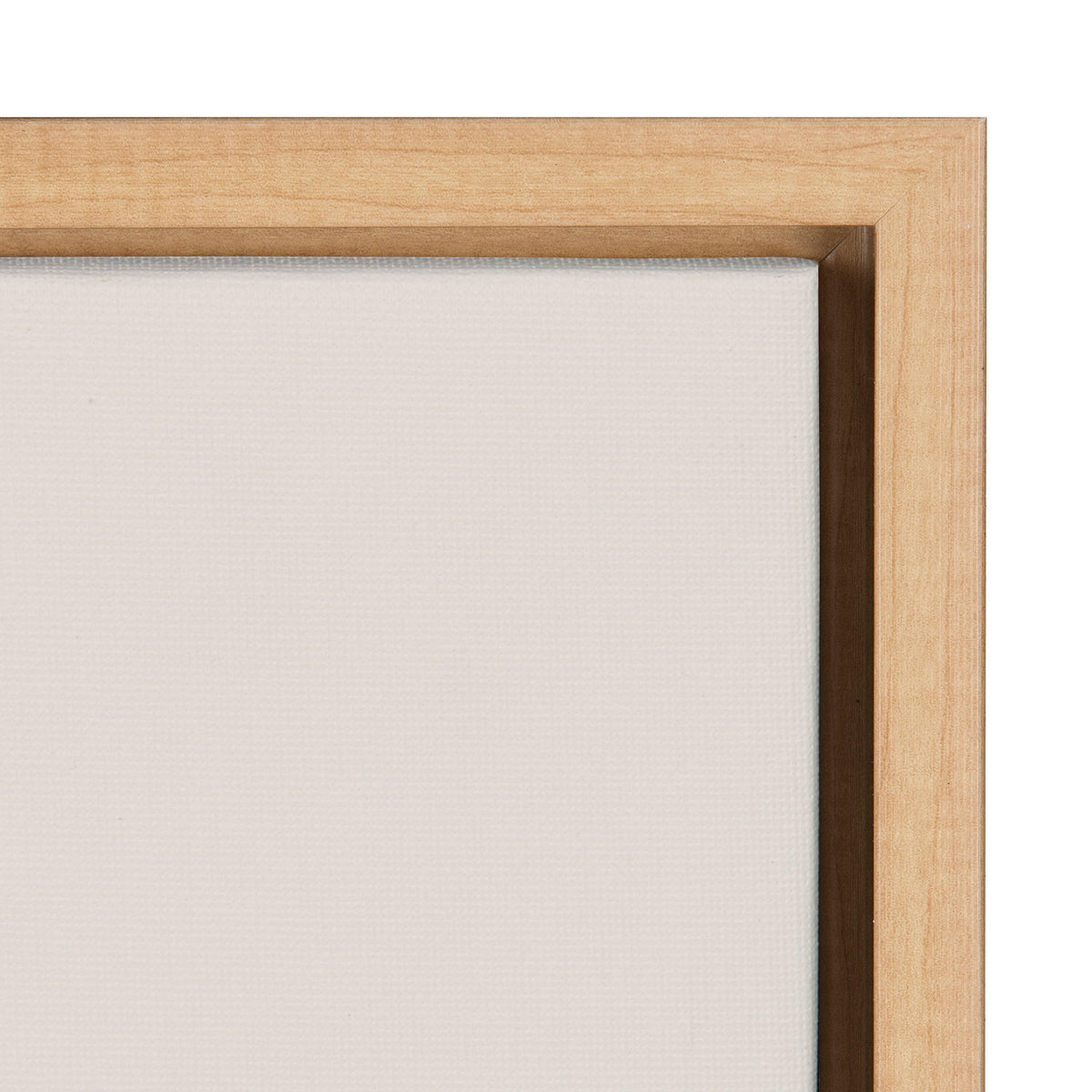 Sylvie Equine Framed Canvas by Robert Cadloff of Bomobob