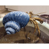 Porcelain / Bronze Hermit Crab