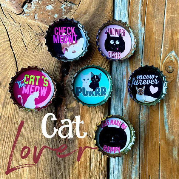 Cat Lover Magnets - Set of 6 - Gifts for You 'n Me