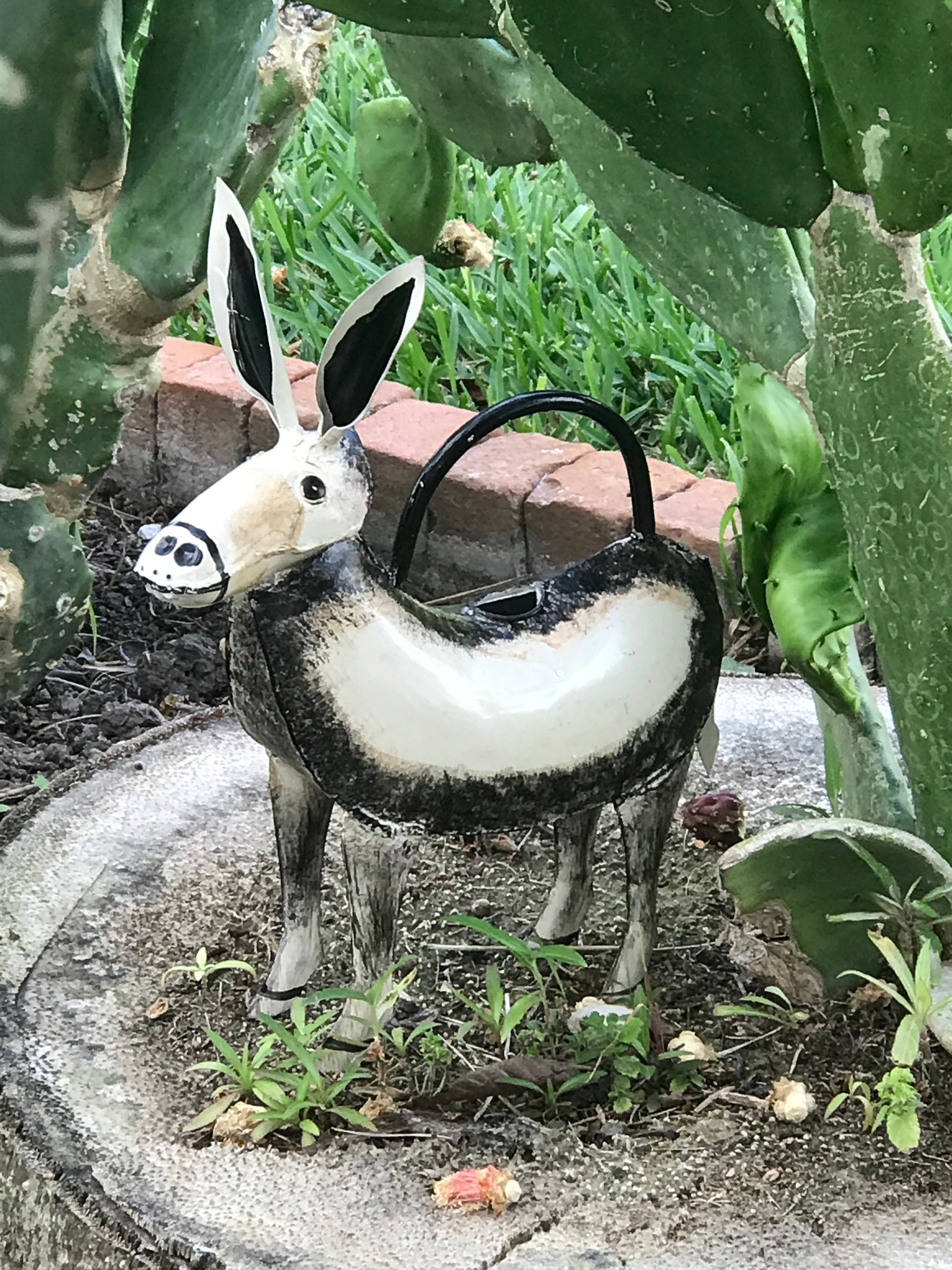 Diego The Donkey Plant Pals Water Can