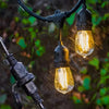 LED Indoor Outdoor Garden String Lights- AU/EU/UK/US Plug_6