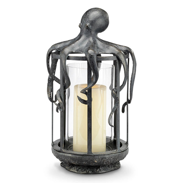 Octopus Lantern SPI Home