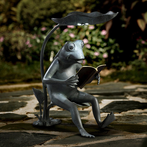 Reading Frog Birdfeeder with LED Light