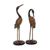Heartwarming Crane Couple