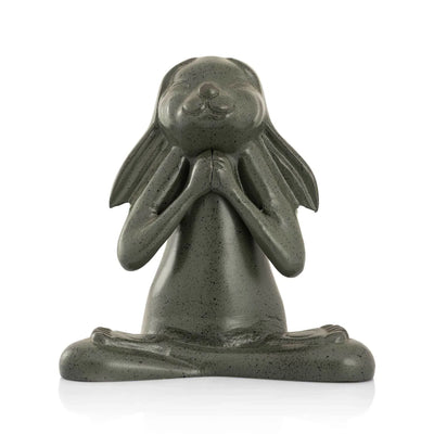 Happy Asana Bunny