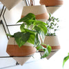 Set of 5 Ivory Dipped clay pots with angular wire wall frame