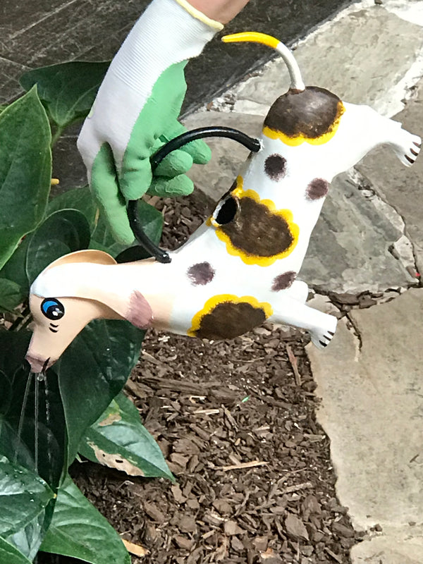 Dora The Dachshund Plant Pals Water Can - Gifts for You 'n Me