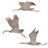 Set of 3 - Crane Wall Plaque