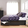 Prepac Manhattan Wooden King Bookcase Platform Storage Bed in Black