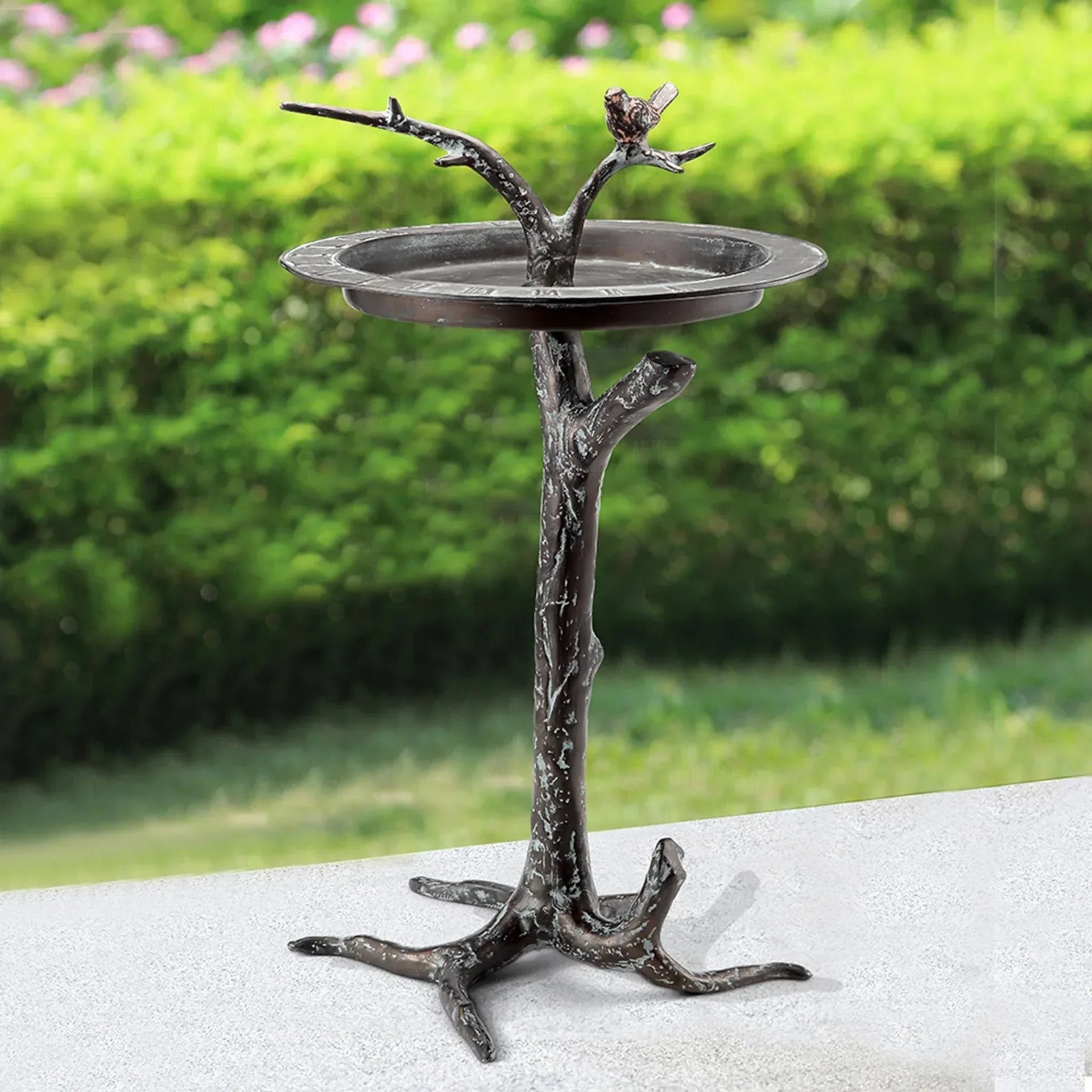 Bird & Twig Sundial/Birdbath - Gifts for You 'n Me