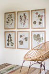 Leaf Prints Under Glass - Set of 6