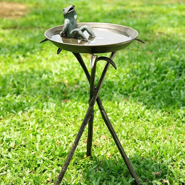 Cool Frog Birdbath - Gifts for You 'n Me