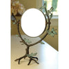 Dragonfly on Branch Mirror