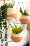 Set of 5 Ivory Dipped clay pots with angular wire wall frame
