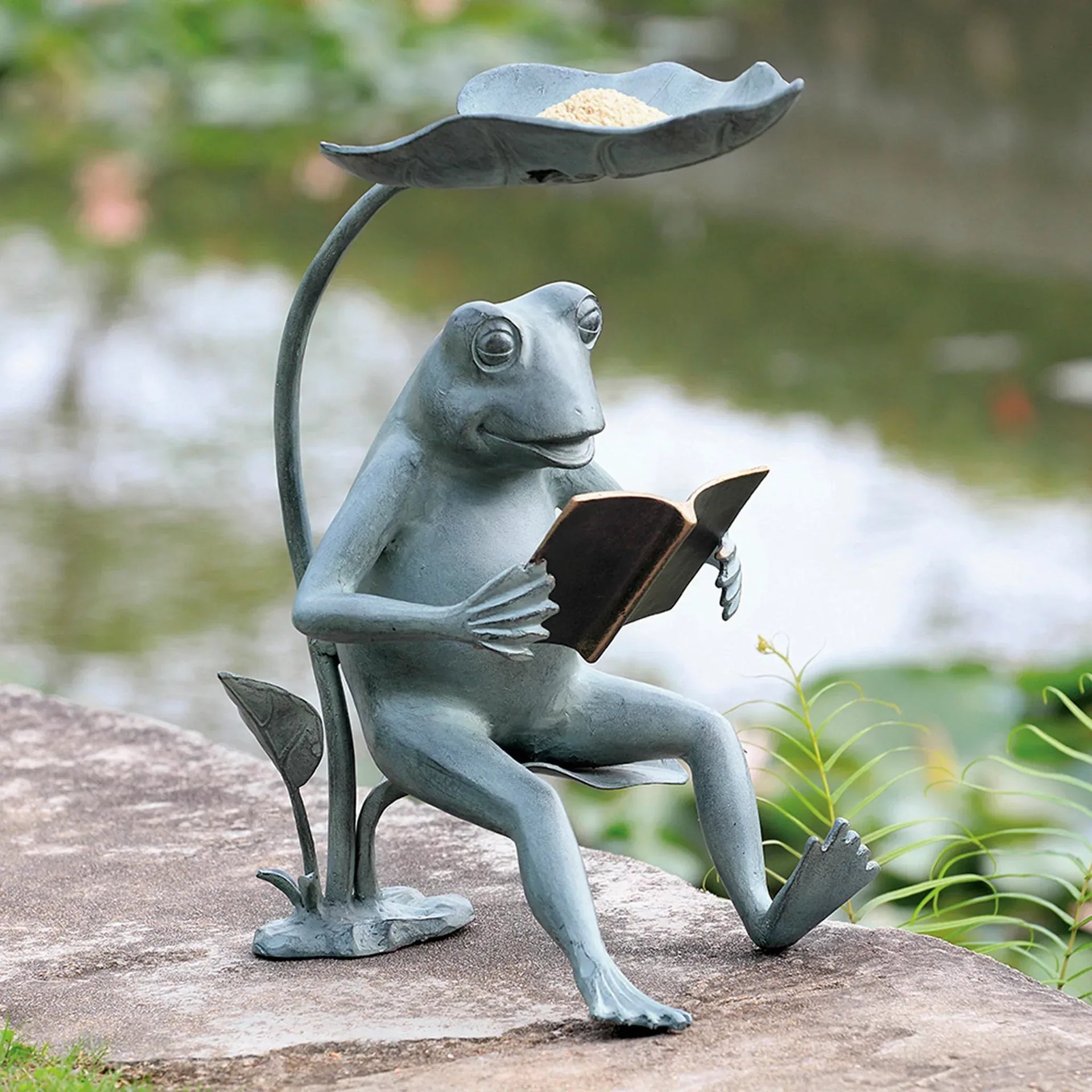 Reading Frog Birdfeeder with LED Light - Gifts for You 'n Me