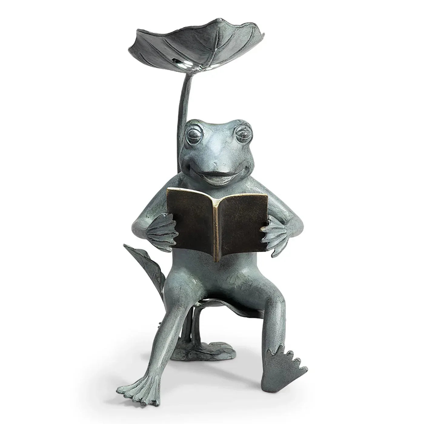 Reading Frog Birdfeeder with LED Light - Gifts for You 'n Me
