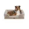 Bella Pet Couch by Martha Stewart - 28