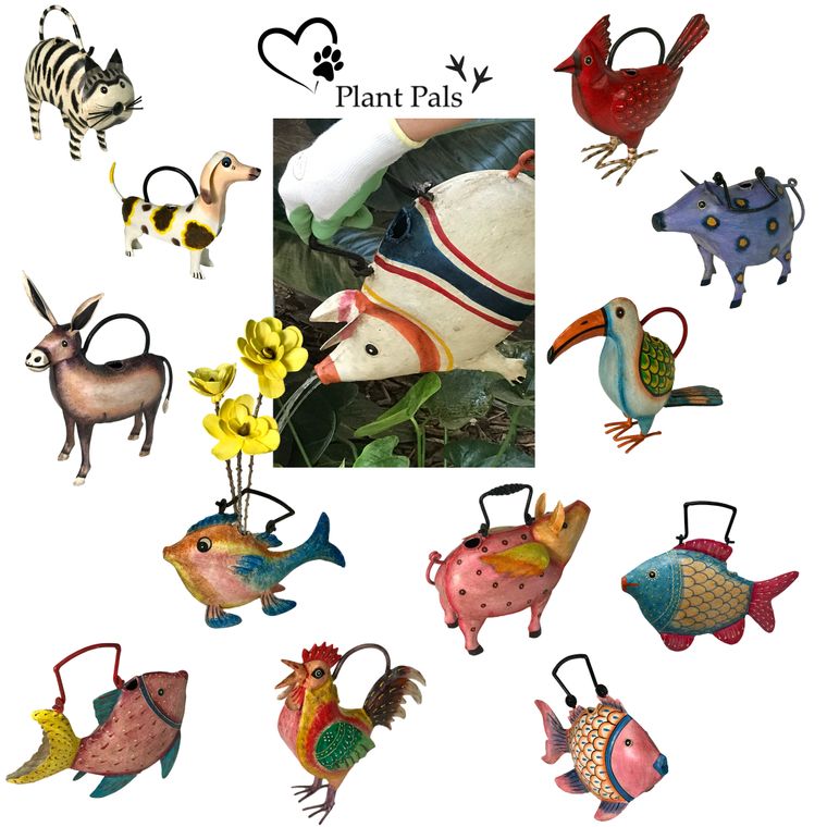 Florida Flying Pig Plant Pals Water Can