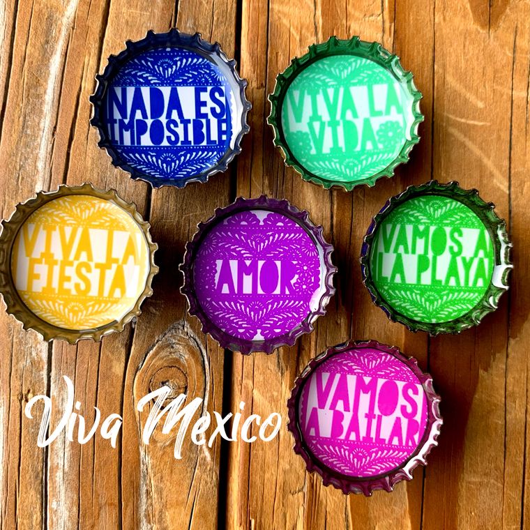 Viva Mexico Magnets - Set of 6