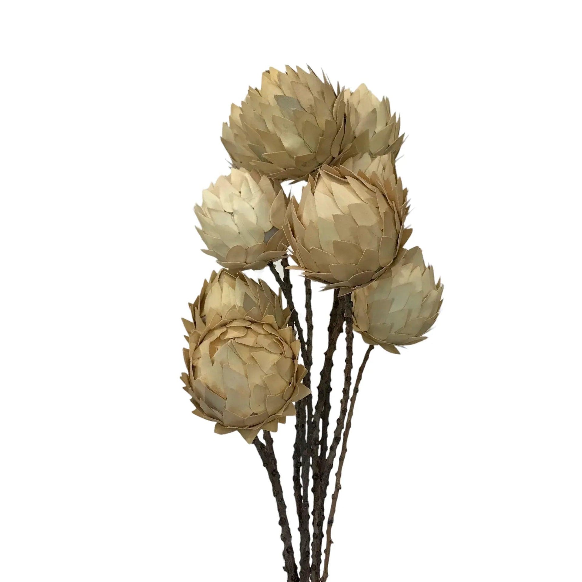 9 Pc. Palm Artichoke on Natural Stem Drop-in Bouquet - Gifts for You 'n Me