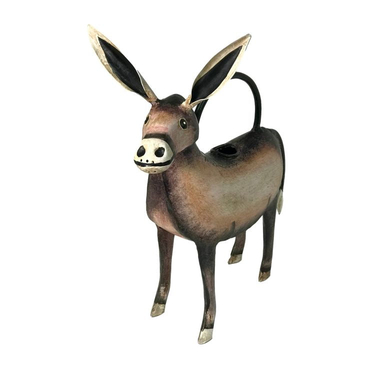 Diego The Donkey Plant Pals Water Can