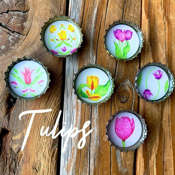Tulip Magnets - Set of 6 - Gifts for You 'n Me