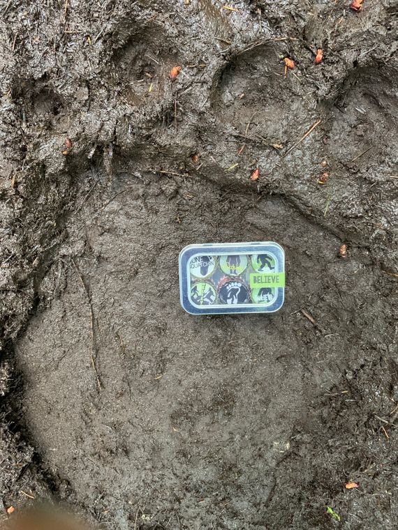 Sasquatch Magnets - Set of 6