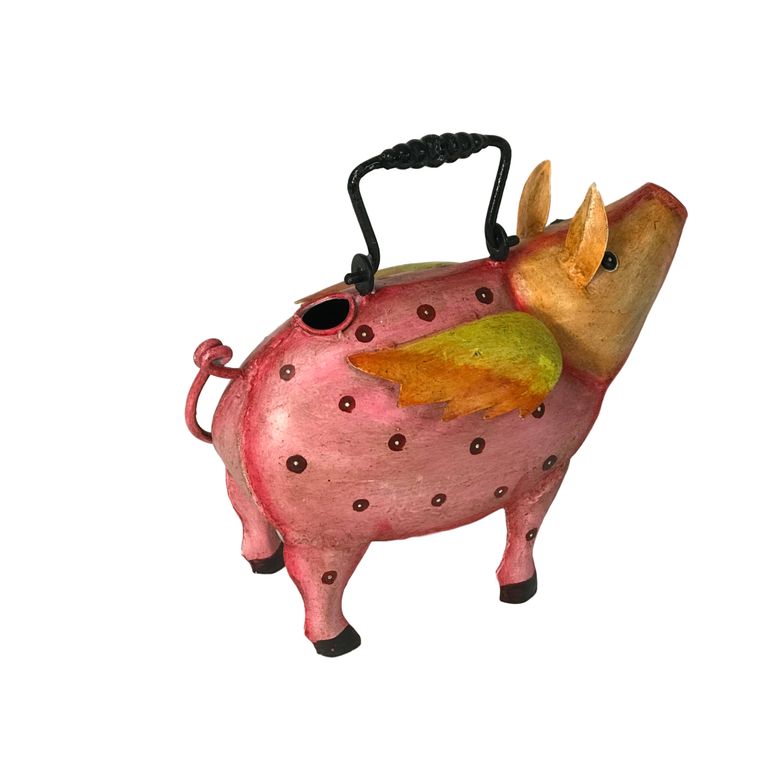 Florida Flying Pig Plant Pals Water Can