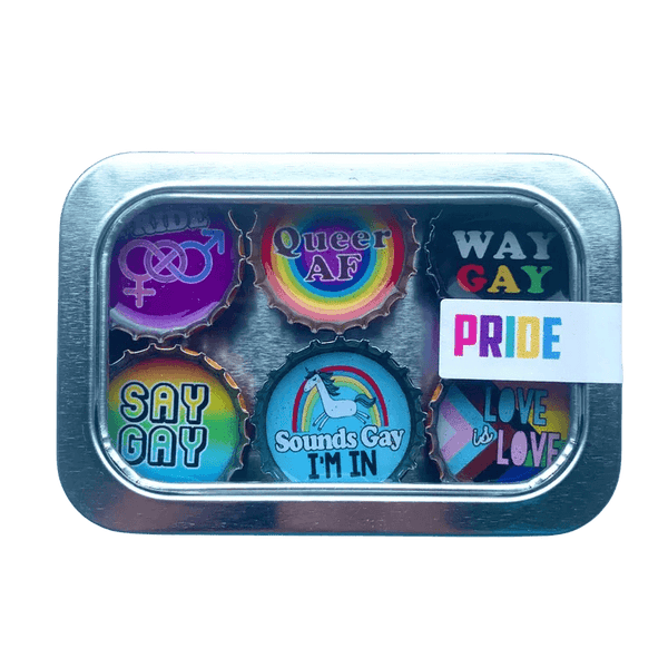 LGBTQ+ Pride magnets - Set of 6 - Gifts for You 'n Me