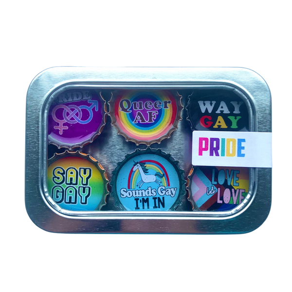 LGBTQ+ Pride magnets - Set of 6