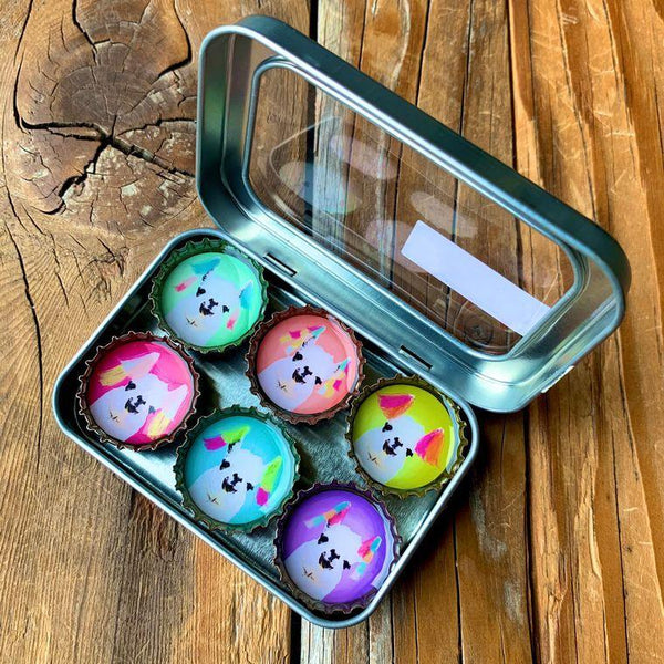 Llama Llama Magnets - Set of 6 - Gifts for You 'n Me