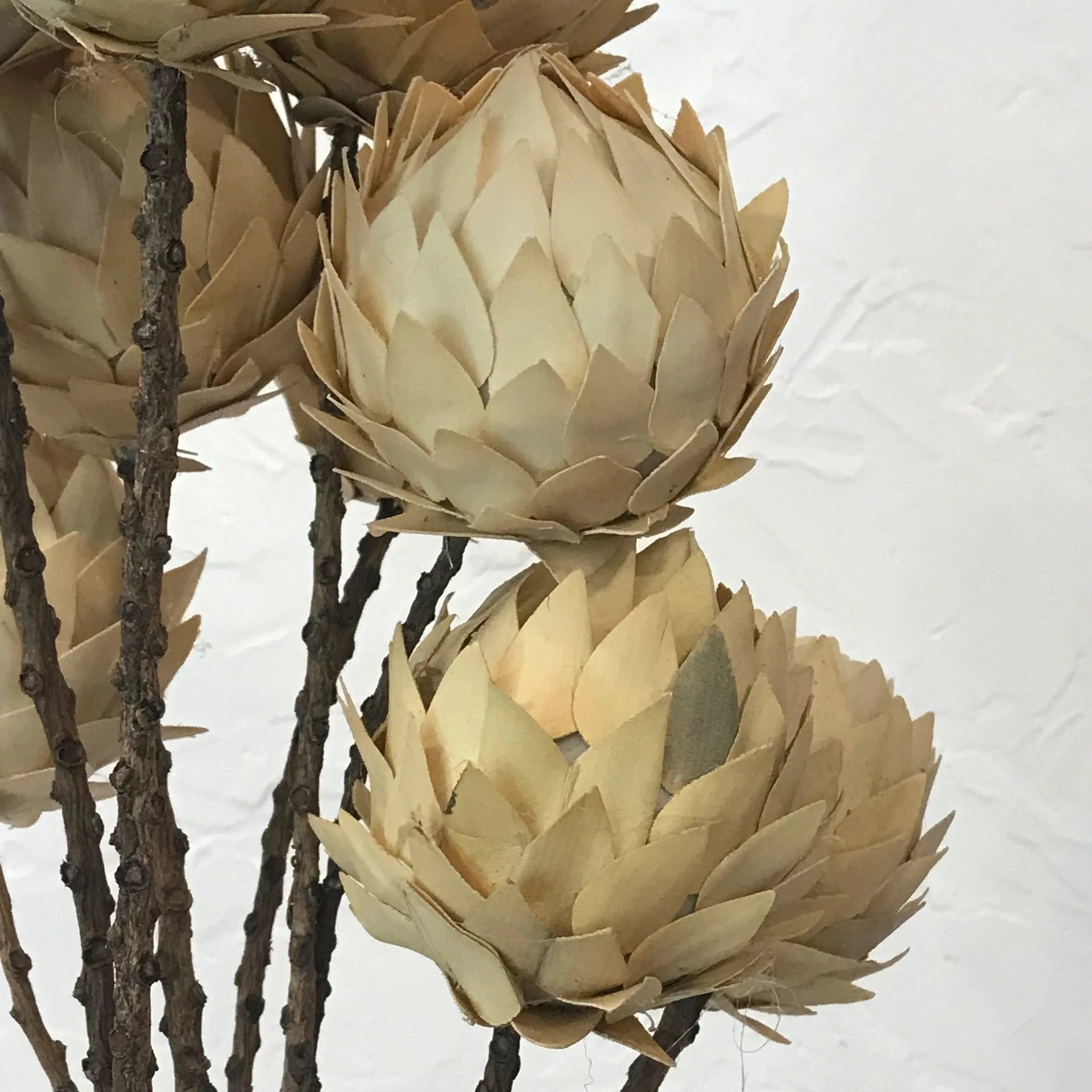 9 Pc. Palm Artichoke on Natural Stem Drop-in Bouquet - Gifts for You 'n Me