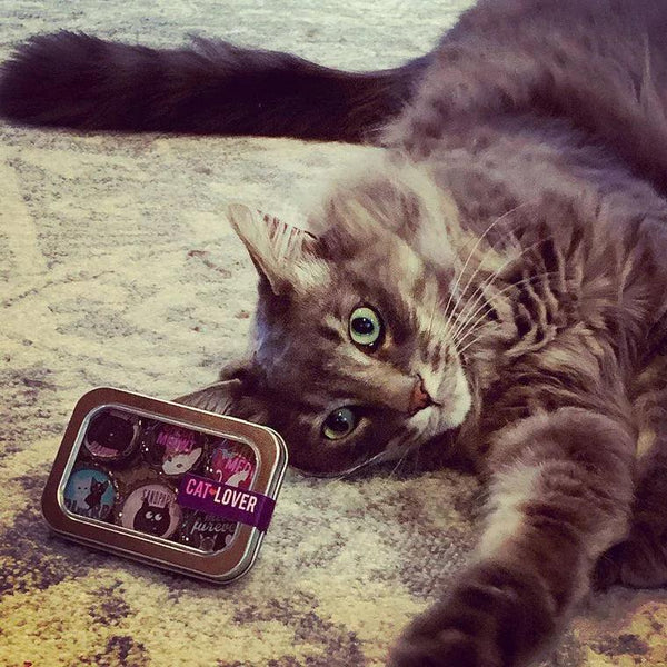 Cat Lover Magnets - Set of 6 - Gifts for You 'n Me