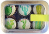 Cactus Magnets - Set of 6